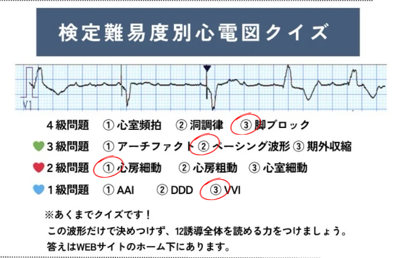 クイズの答え画像